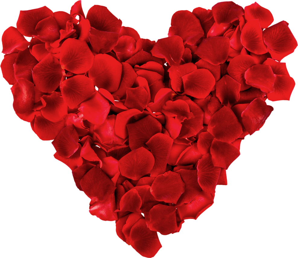 Heart of Rose Petals - Isolated